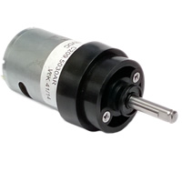 WHIPPER MOTOR 12V DC 10700RPM / MPN - OO1002